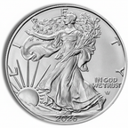 1 oz silver American Eagle coin new 2025 not circulated