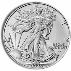 1 oz silver American Eagle coin new 2025 not circulated